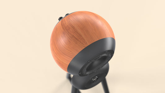 Sun Audio Purified 5 Bloodwood with spherical midwoofer and waveguide PURIFI tweeter